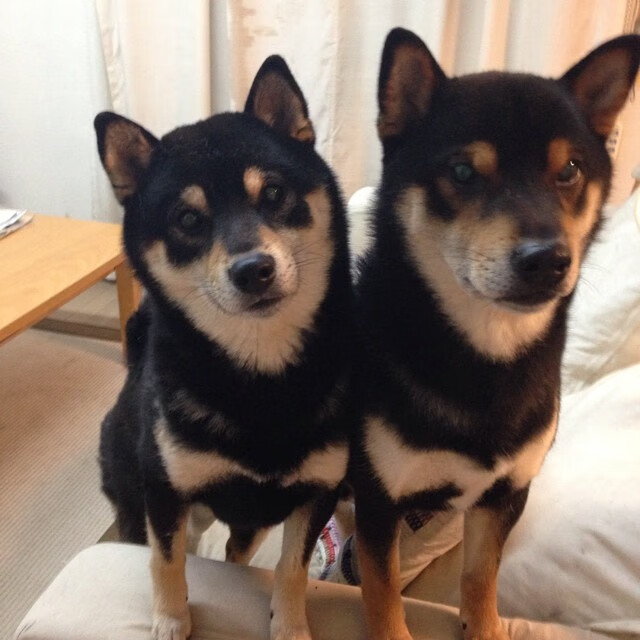 奇迹的左右开弓，从埃及爆冷新西兰，到萨内F1年度争冠的终极接管