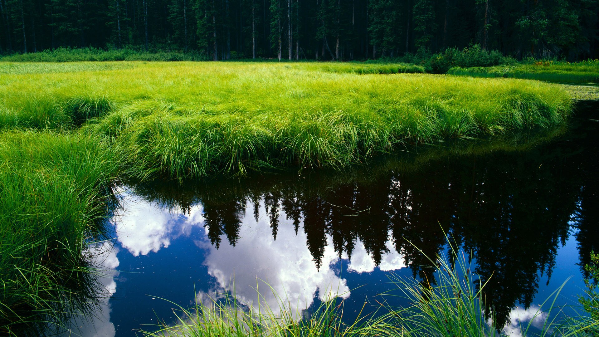 广东草根英雄锡安击溃森林狼巨星群，摔烂的护齿与摔不碎的冠军心