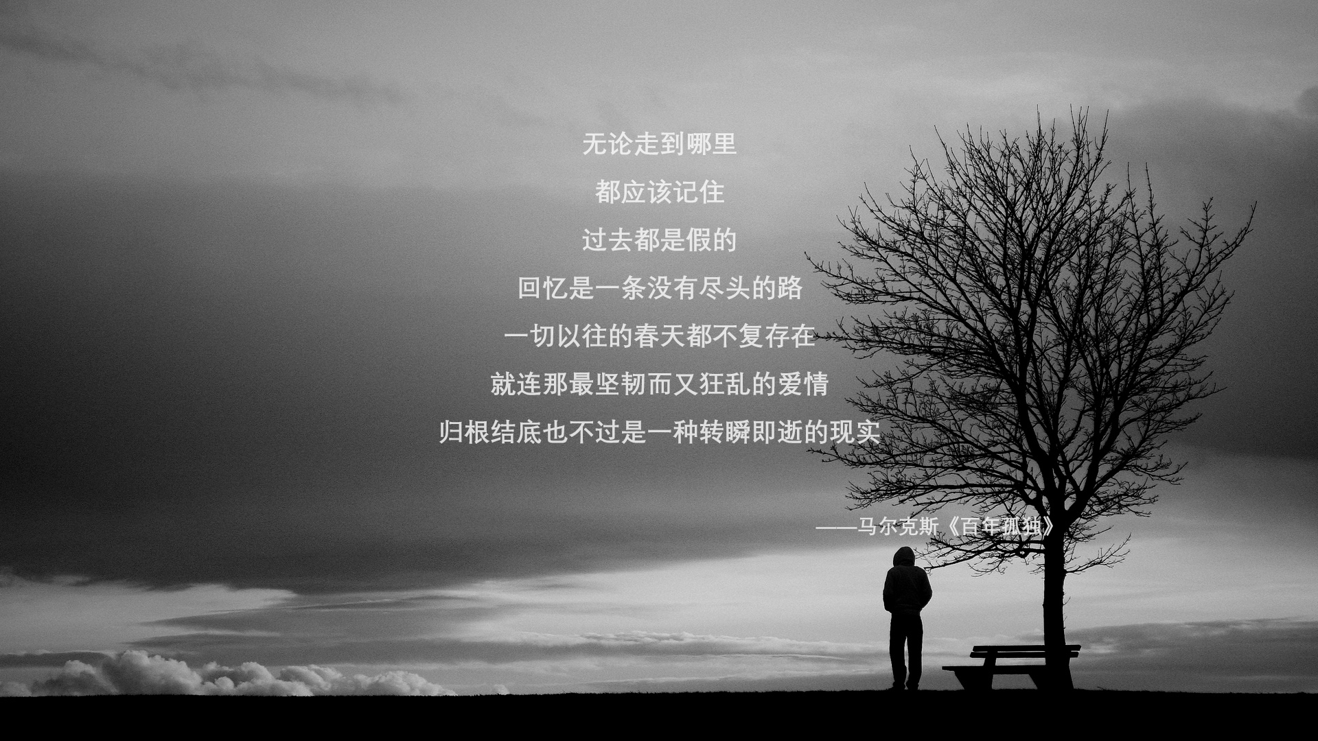 墨染江南戈贝尔镇山河 潮涌浙江队巧取夏洛特