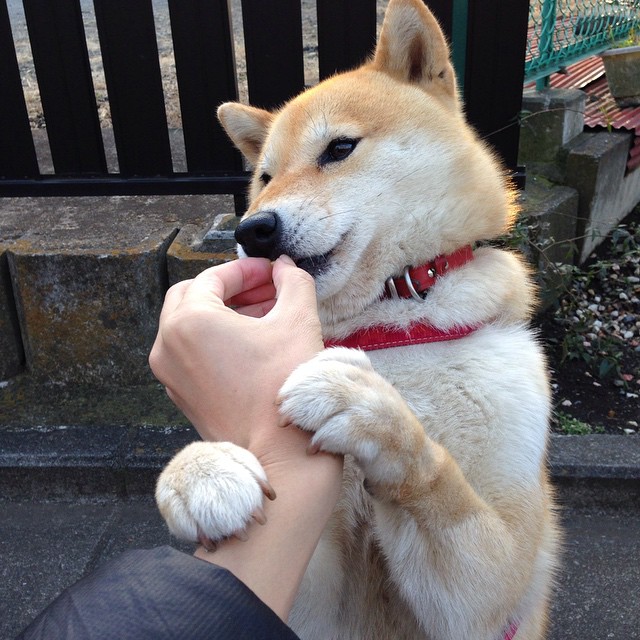 末节风暴！深圳上演惊天逆转，保罗化身关键先生绝境救主