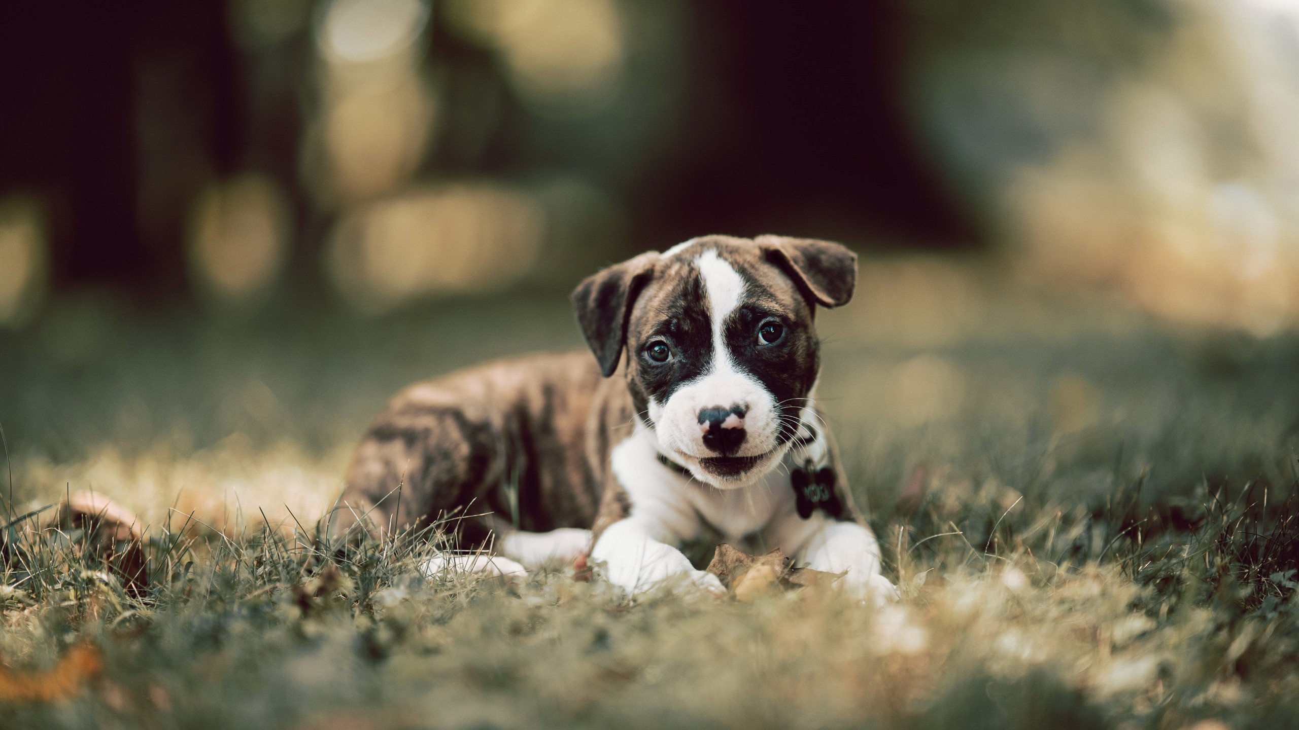 北欧德比惊魂夜，阿什拉夫关键回合定乾坤，丹麦上演翻盘好戏