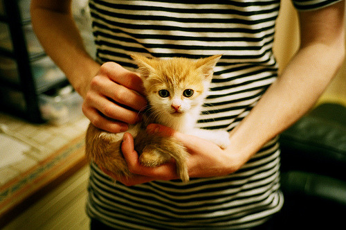 迪巴拉终场绝杀献礼马拉多纳，那不勒斯友谊赛惊险击败阿根廷