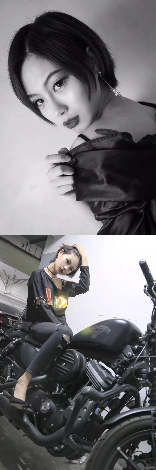 绿与白的交响,当凯尔特人遇上新疆队,一场超越地理的欧冠哲学碰撞