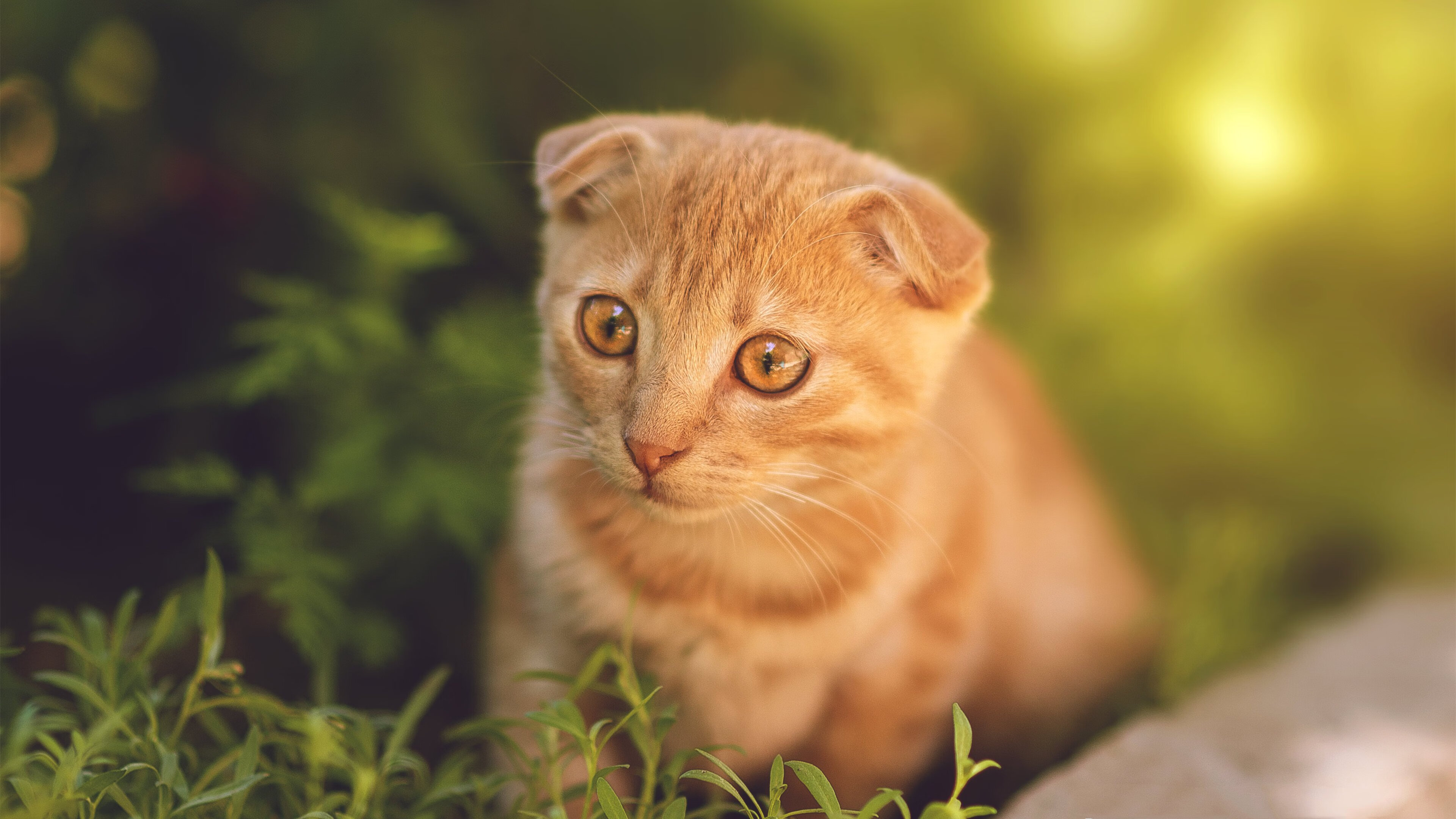 开云体育平台APP-阿圭罗节奏魔法VS国米锁链阵，一场攻防美学的极致演绎