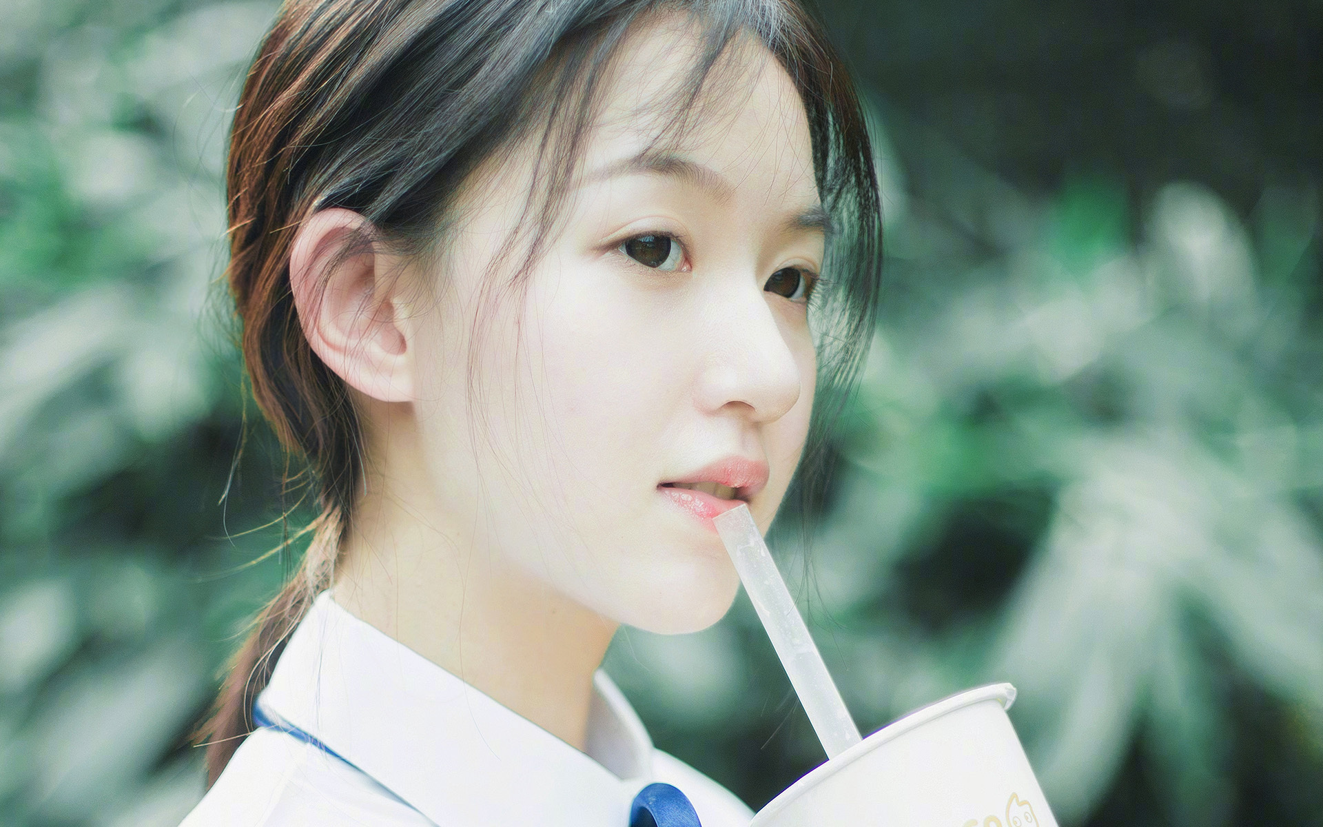 王朝更迭的伏笔,当唯美遭遇唯效,2026世界杯F组的冰与火之歌